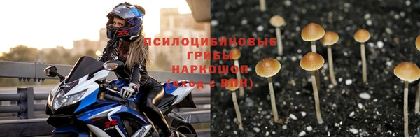 каннабис Беломорск