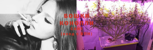 шишки Богородск