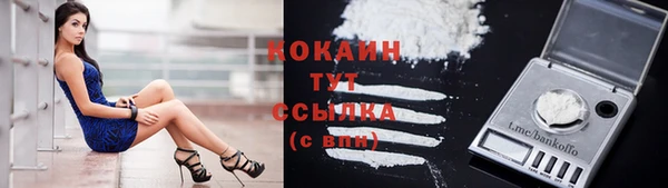шишки Богородск