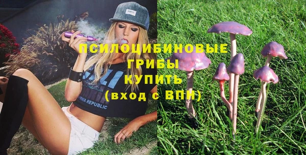 тгк Бугульма