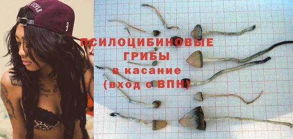 ПСИЛОЦИБИНОВЫЕ ГРИБЫ Бородино
