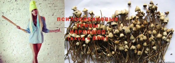 COCAINE Богородицк