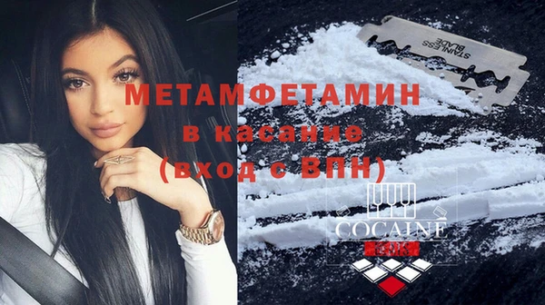 ПСИЛОЦИБИНОВЫЕ ГРИБЫ Бородино