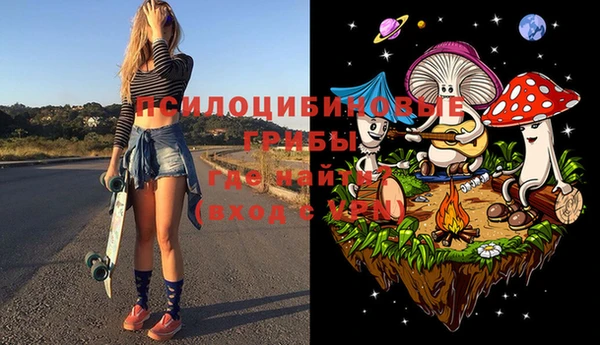 ПСИЛОЦИБИНОВЫЕ ГРИБЫ Бородино