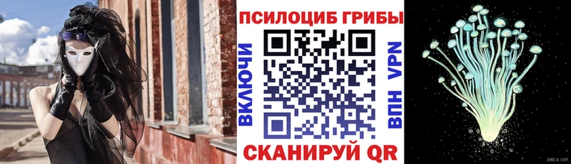 Псилоцибиновые грибы мицелий это формула Кемь